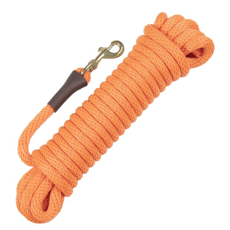 Obedience Check Cord 3/8 x 20" Black