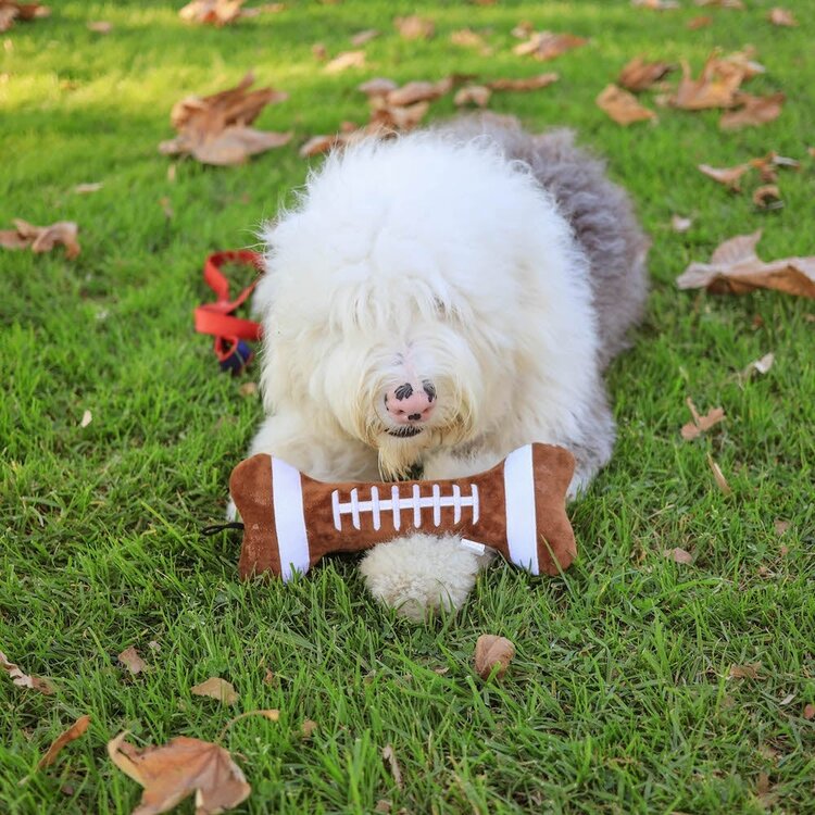 Football Bone L