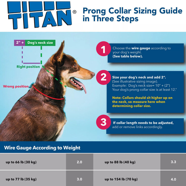 Titan Prong Collar w/ Latch 2.0mm 14"