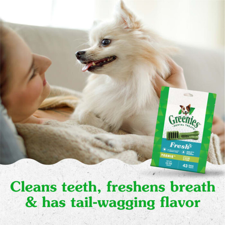 Greenies Dog Teenie 12oz
