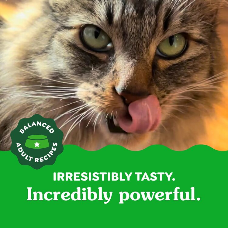 Feline Greenies Tuna Dental Treats 2.1oz