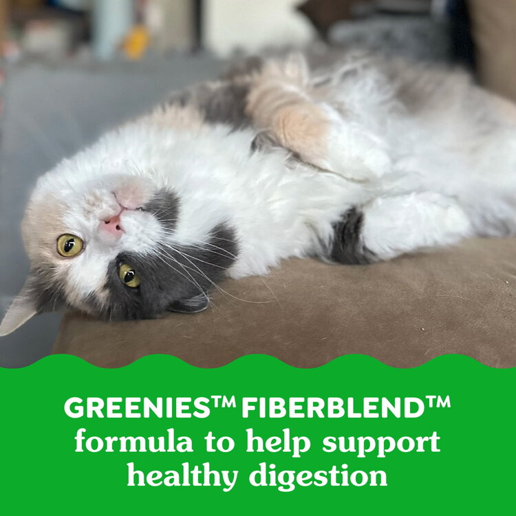 Feline Greenies Smart Bites HI Chkn 2.1oz
