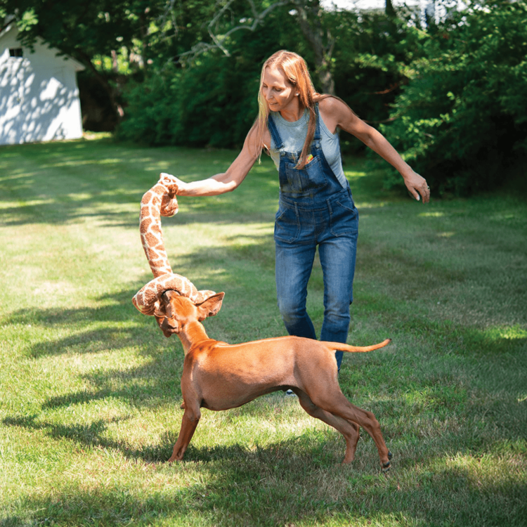 Fabdog Twisty Giraffe