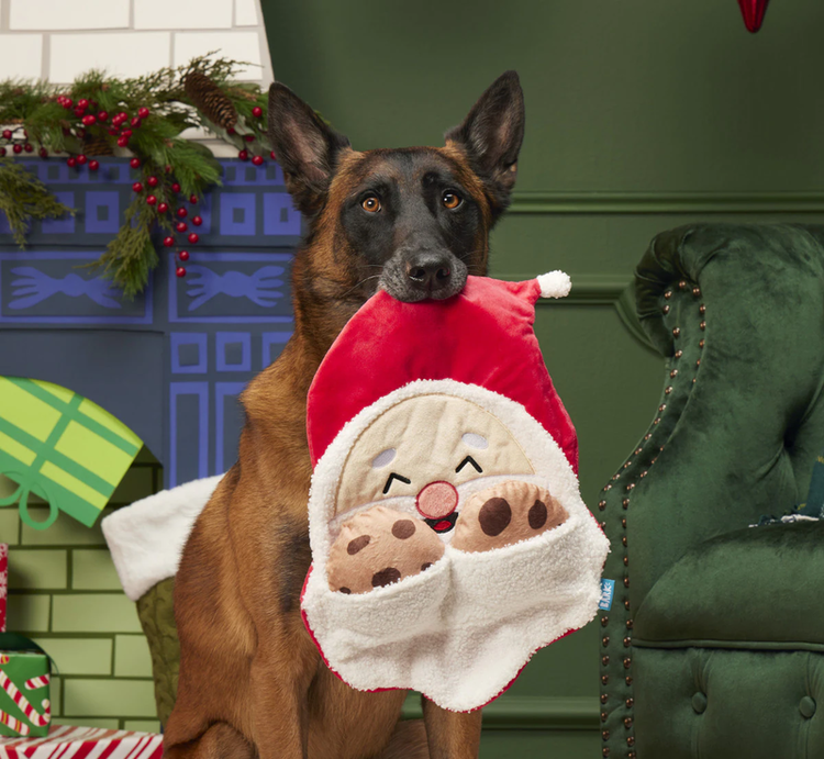 BARK BARK Kris Krumble