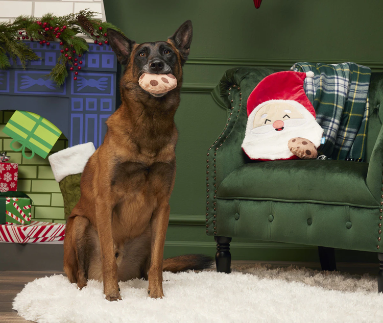 BARK BARK Kris Krumble