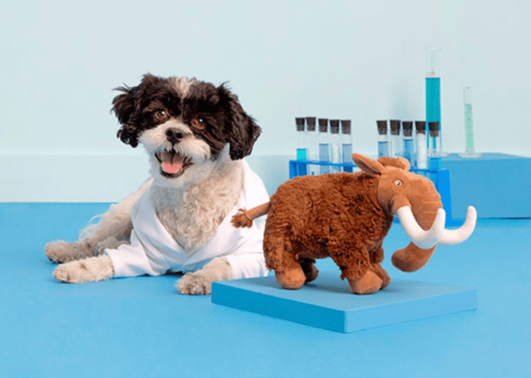 BARK Bark Winston the Wooly Mammouth