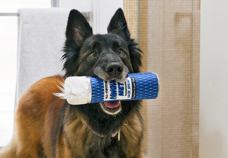 80s Classic Hairspray