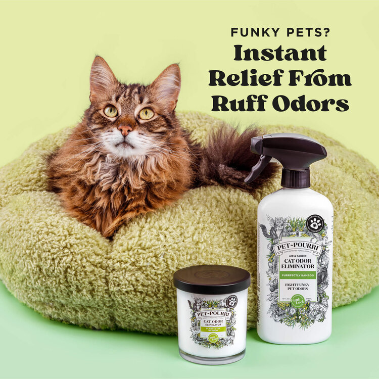 Pet-Pourri Pet Pourri Purrfectly Bamboo 16oz