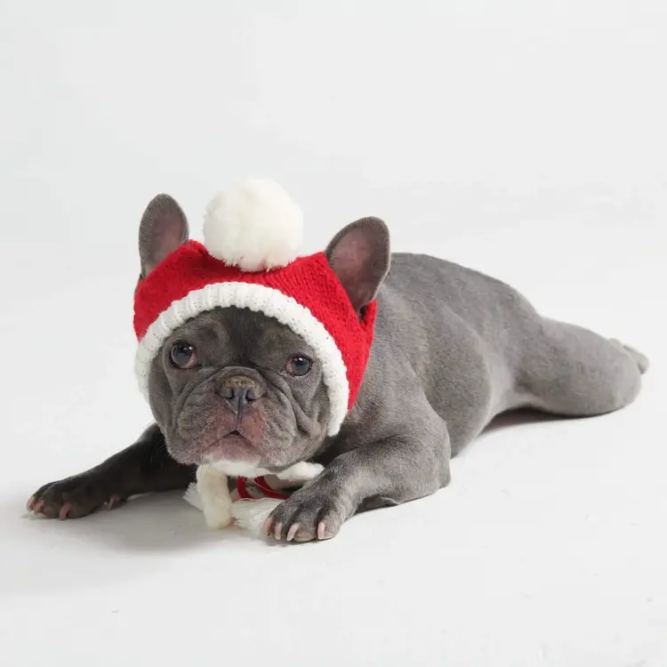 Spark Paws Knit Pom Santa Beanie Medium