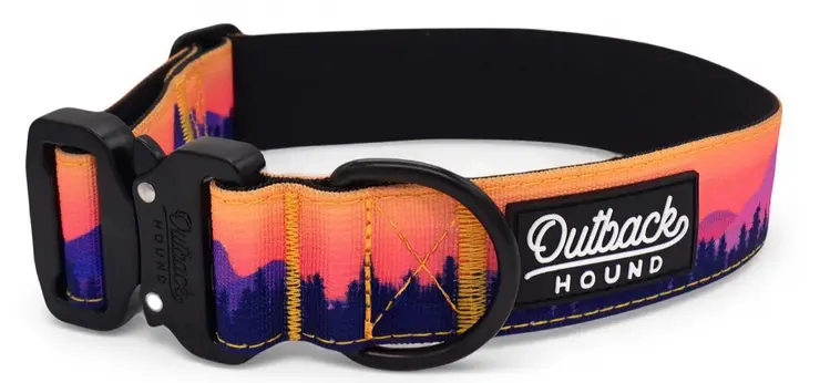 Trail Hound Collar