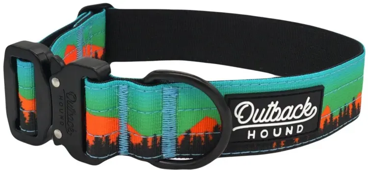 Trail Hound Collar