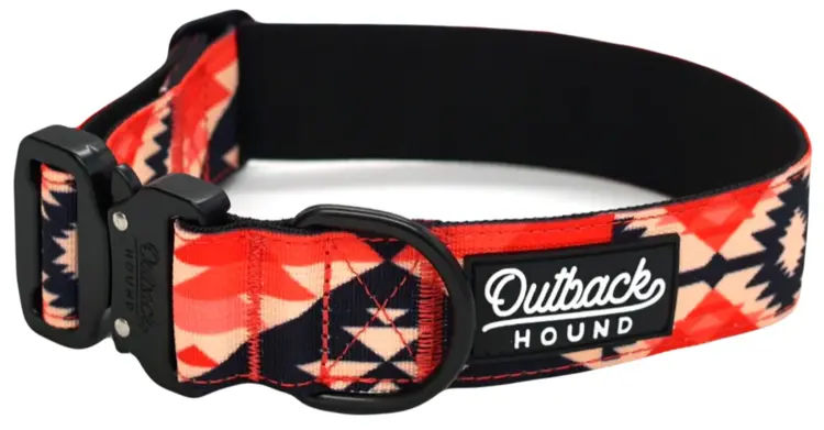 Trail Hound Collar