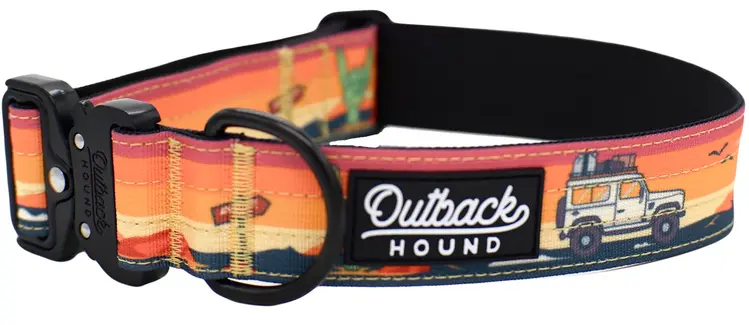 Trail Hound Collar