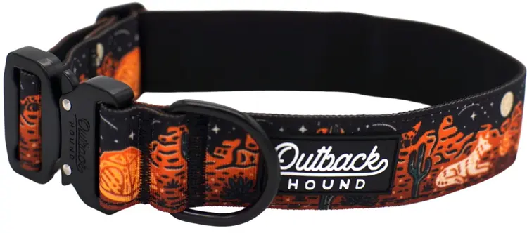 Trail Hound Collar