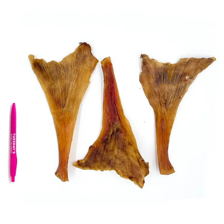 Ostrich Long Tendons