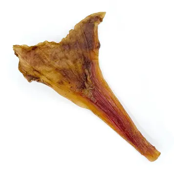 Ostrich Long Tendons
