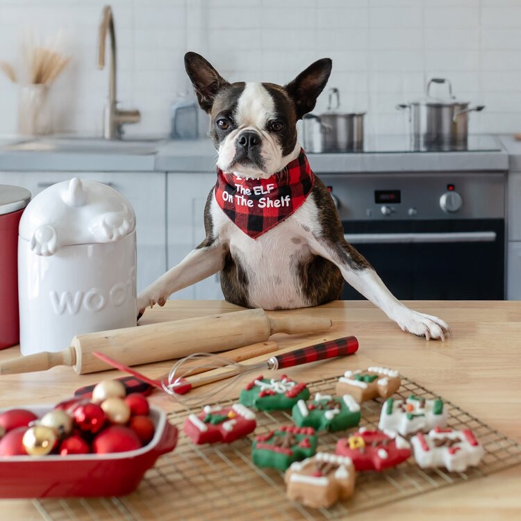 Sn-ugly Sweater Cookies