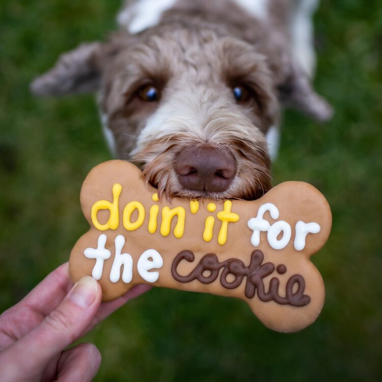 Doin' it for the Cookie bone