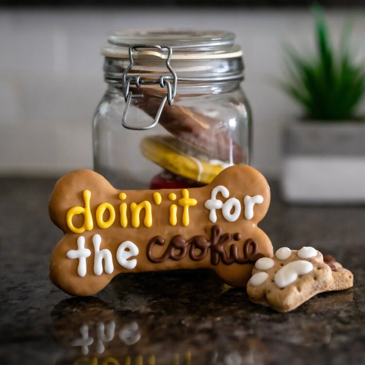 Doin' it for the Cookie bone