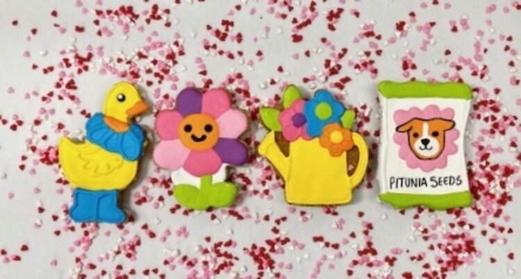 Lucky Biscuit Pet Bakery Duckling Cookie