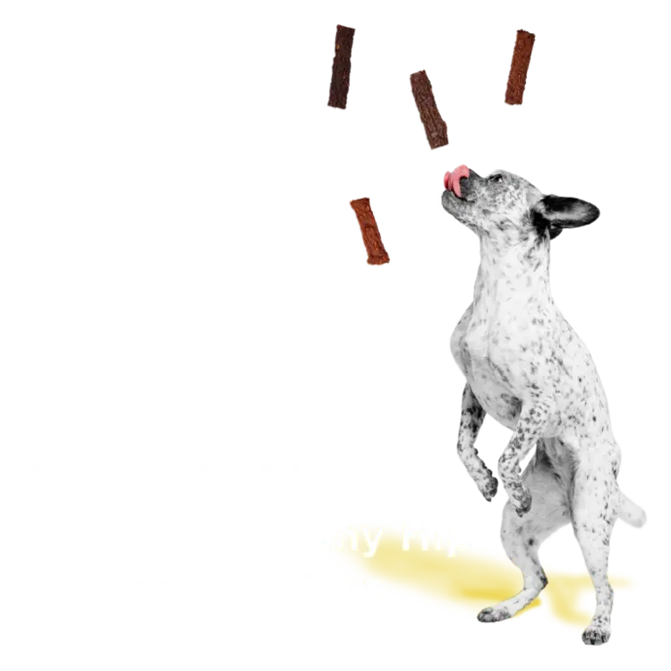 BIXBI DOG HIP & JOINT CHICKEN JERKY 5OZ