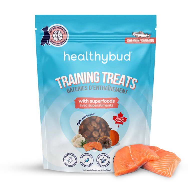 Healthy Bud HBD Salmon Training Treat