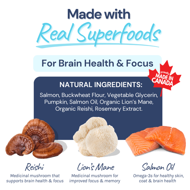 Healthy Bud HBD Salmon Training Treat