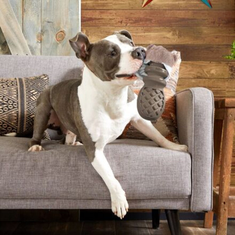 BARK Bark PB Beaver Super Chewer