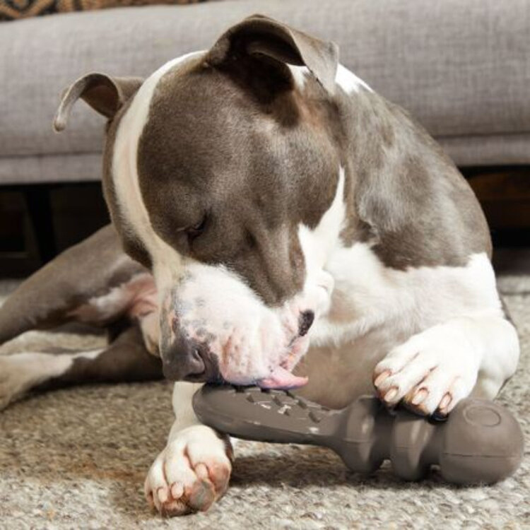 BARK Bark PB Beaver Super Chewer