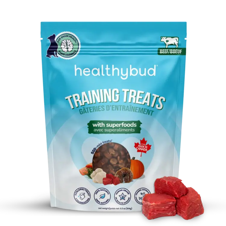 Healthy Bud HBD Beef Training Treat
