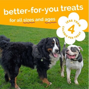 Fruitables Fruitables Pumpkin/Mango Mini 5 oz