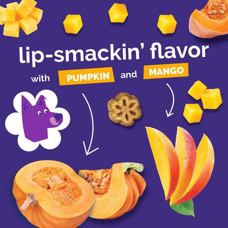 Fruitables Fruitables Pumpkin/Mango Mini 5 oz