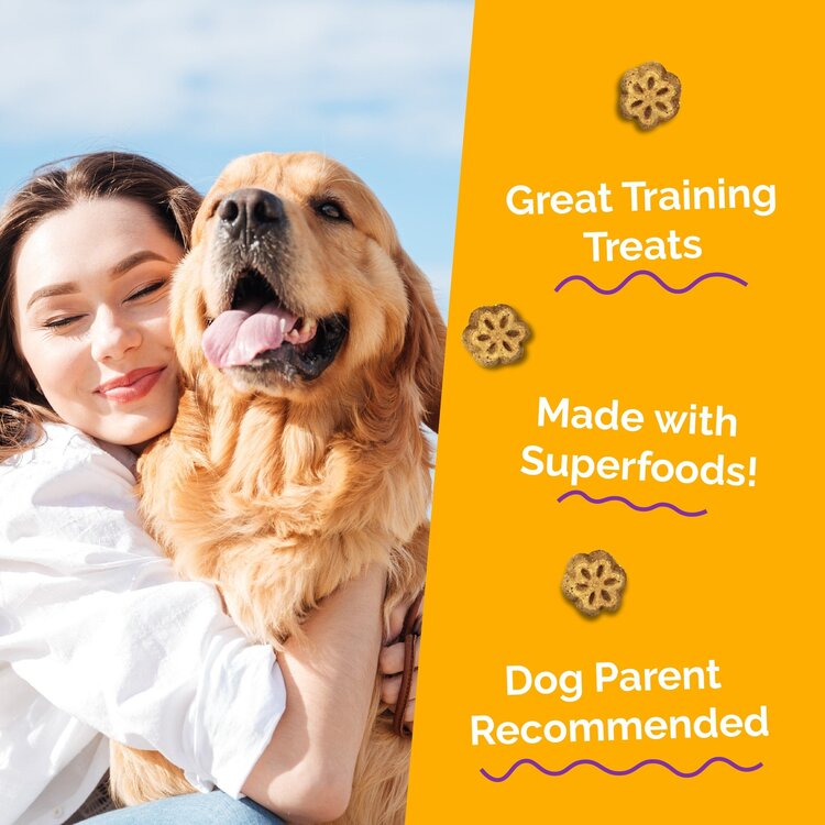 Fruitables Fruitables Pumpkin/Mango Mini 5 oz