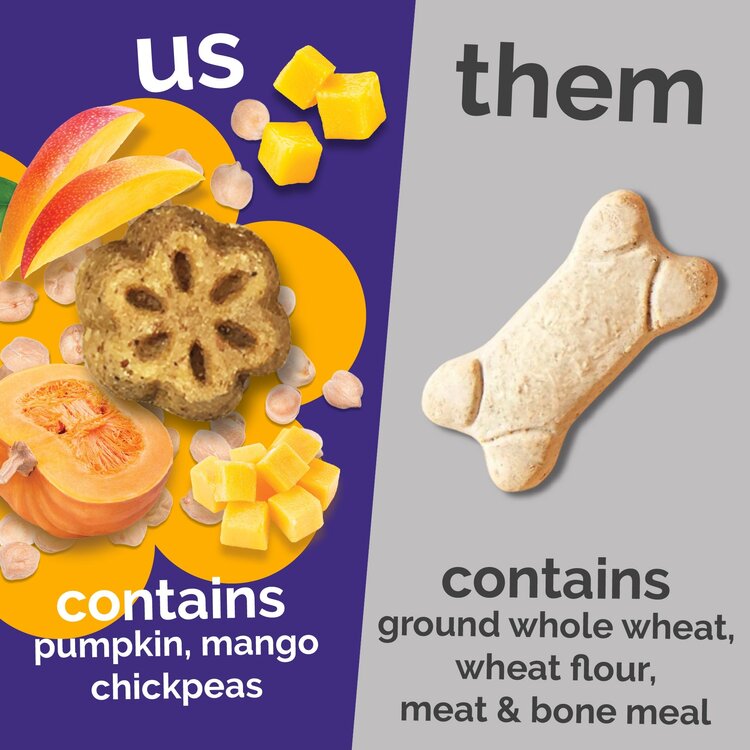 Fruitables Fruitables Pumpkin/Mango Mini 5 oz