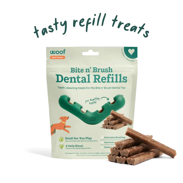 Woof Bite N Brush Refill 18pk BEEF