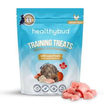 Healthy Bud HBD Chicken Training Treat