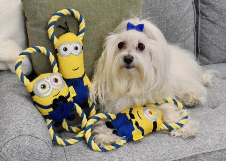Minion Rope Tug Toy