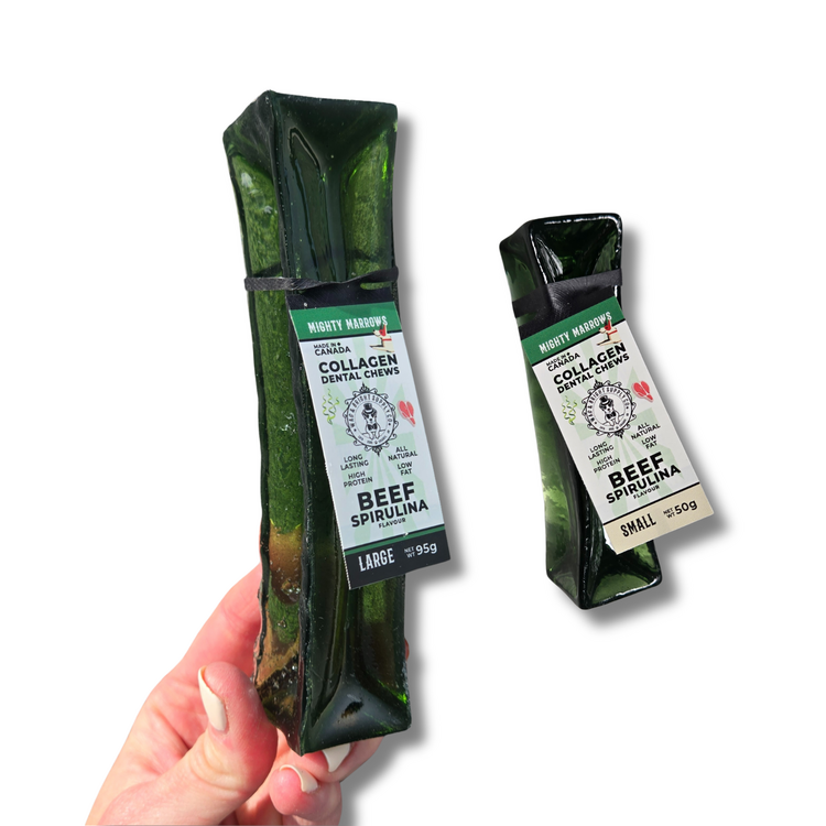 Wag & Bright Supply Co. Mighty Marrows Collagen Dental Pork/Parsley LG