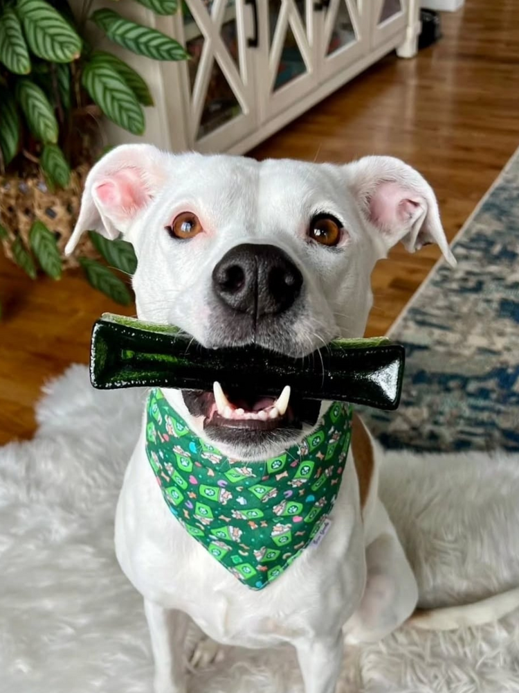 Wag & Bright Supply Co. Mighty Marrows Collagen Dental Pork/Parsley LG