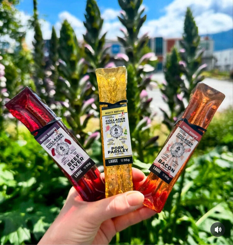 Wag & Bright Supply Co. Mighty Marrows Collagen Dental Pork/Parsley LG