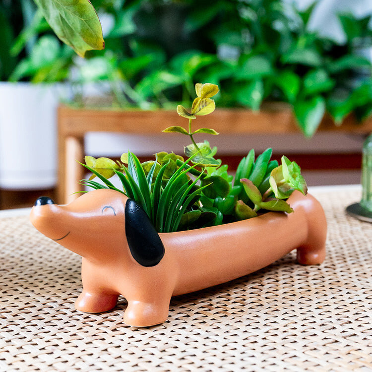 Kikkerland Design Inc. Daisy the Dachshund Planter