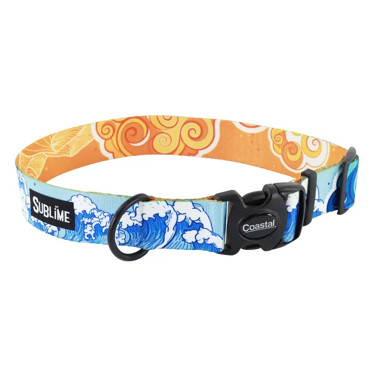 Coastal Dog Collar