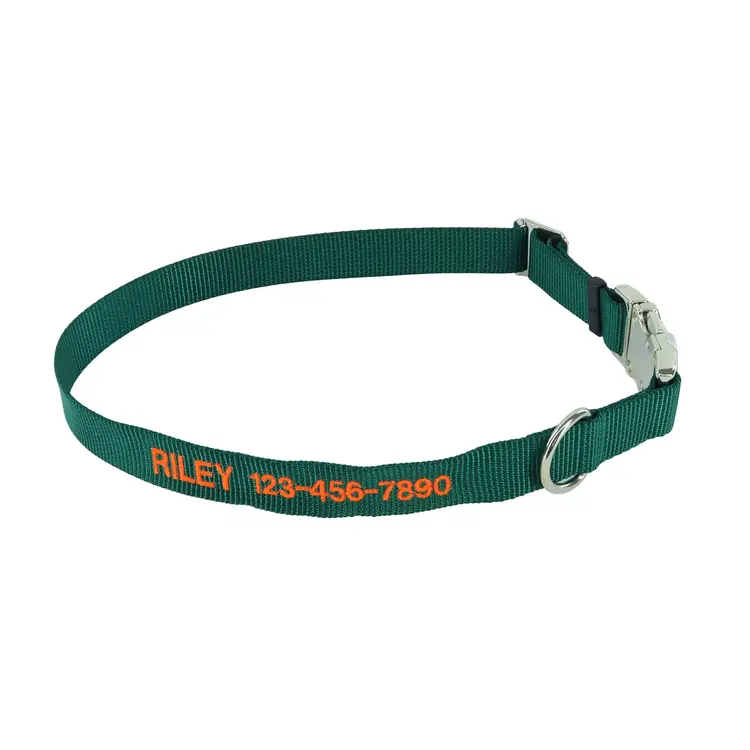 Coastal Dog Collar