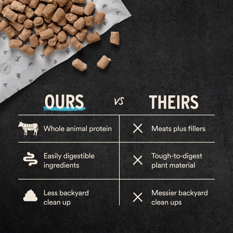 Vital Essentials FZD Duck Nibs