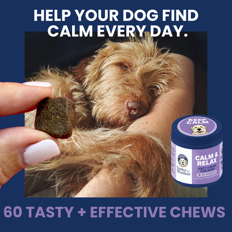 Calming Soft Chew for Dogs 60 pouch single