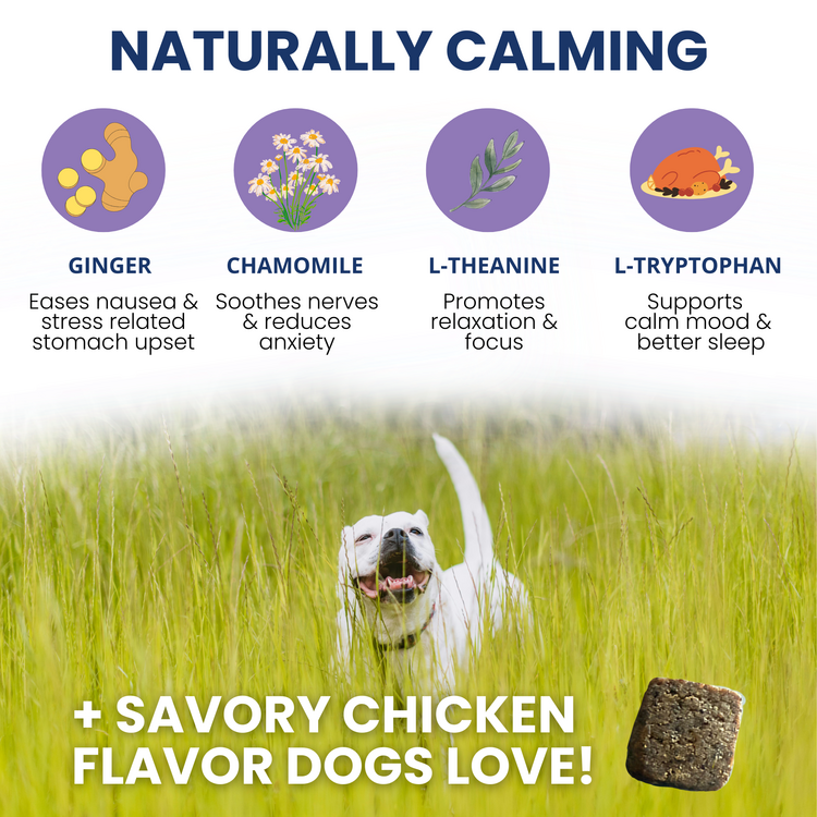 Calming Soft Chew for Dogs 60 pouch single