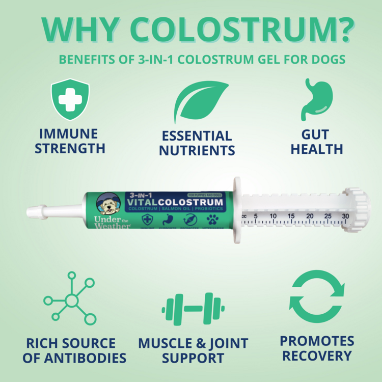 Vital Colostrum Dogs