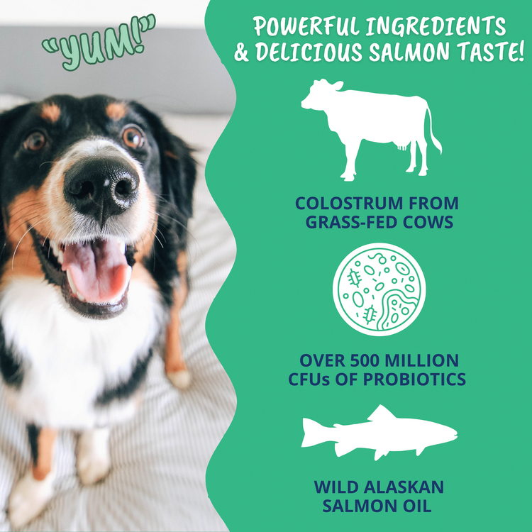 Vital Colostrum Dogs