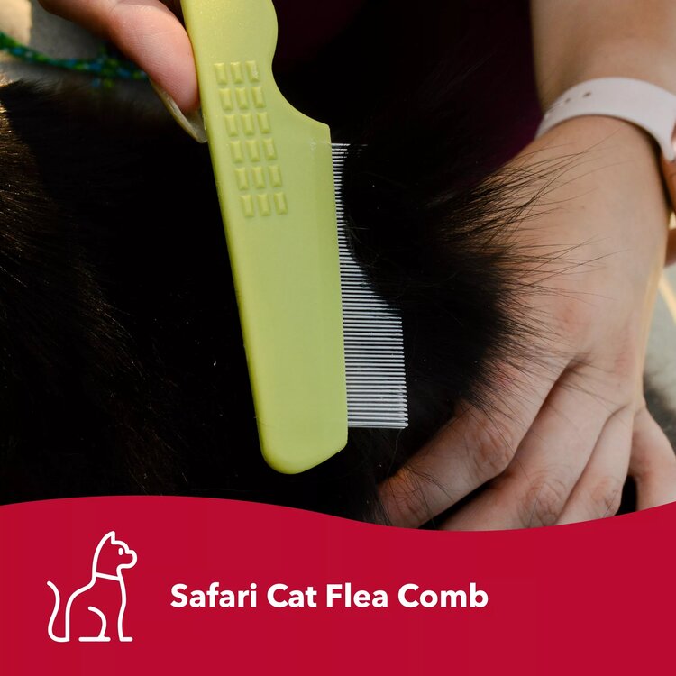 Flea Comb Cat