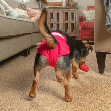 Diaper Designer XL